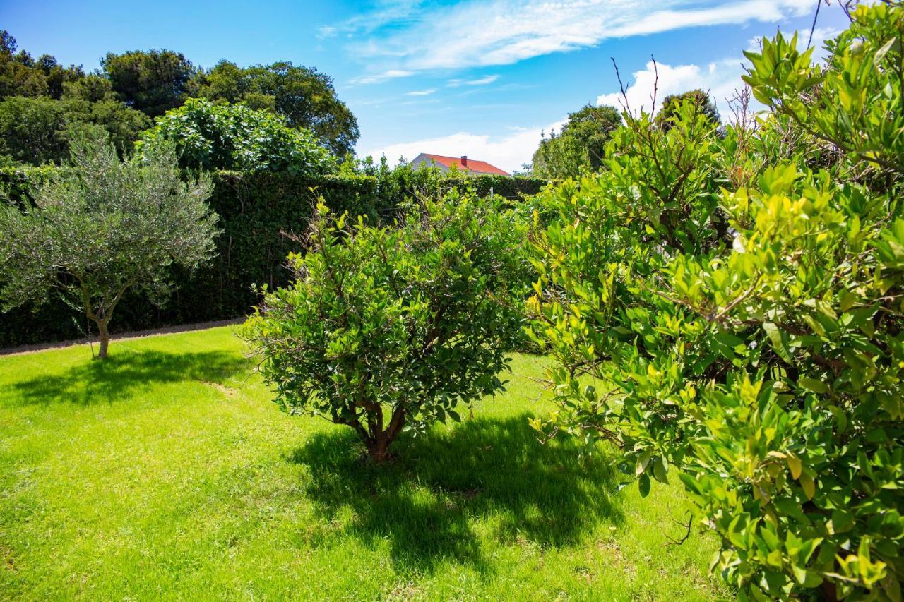 Iadertina Apartment Zadar Bagian luar foto